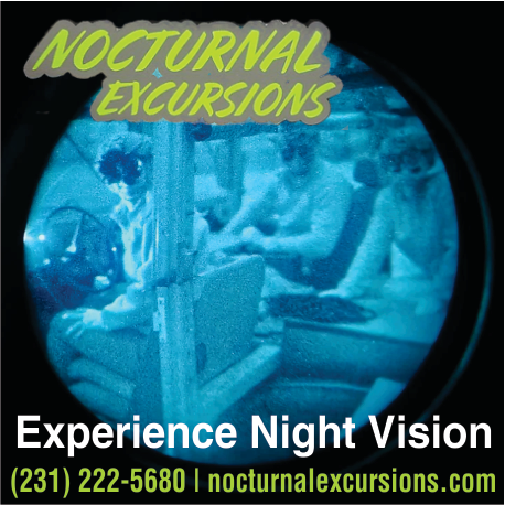 Nocturnal Excursions Print Ad