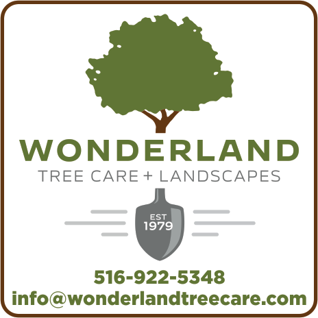 Wonderland Tree Care + Landscapes Print Ad
