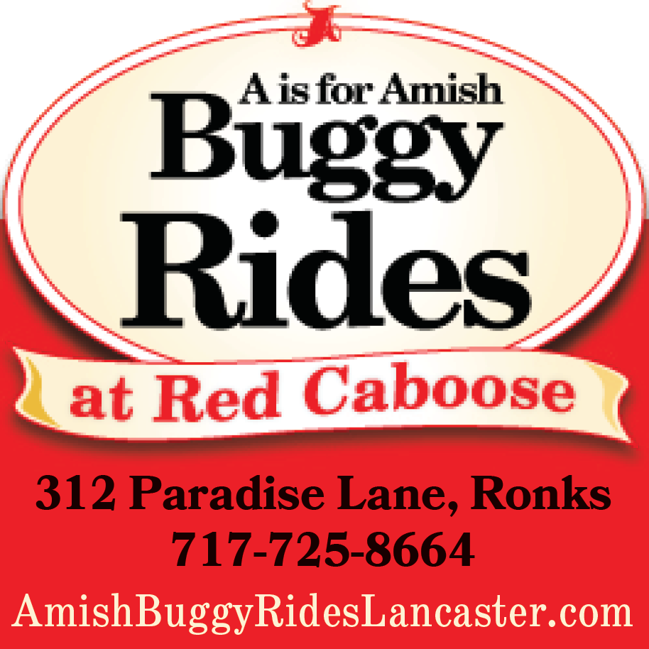 A is for Amish Buggy Rides Print Ad