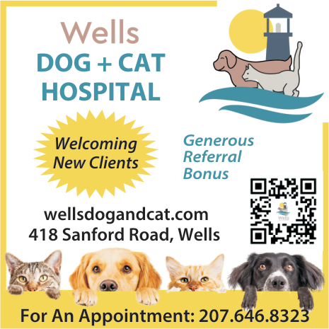 Wells Dog & Cat Hospital Print Ad