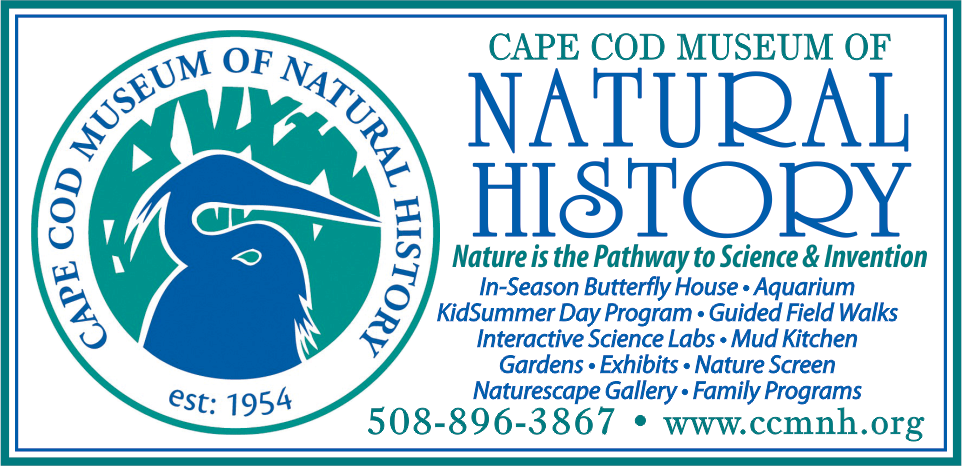 Cape Cod Museum of Natural History Print Ad