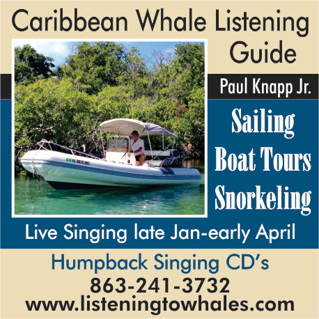 Compass Whale Listening, Sailing & Snorkeling Print Ad