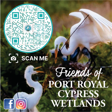 Friends of Port Royal Cypress Wetlands & Rookery Print Ad