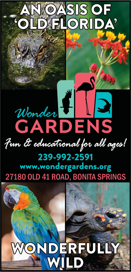 Wonder Gardens Print Ad