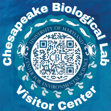 Chesapeake Biological Laboratory Visitor Center Print Ad