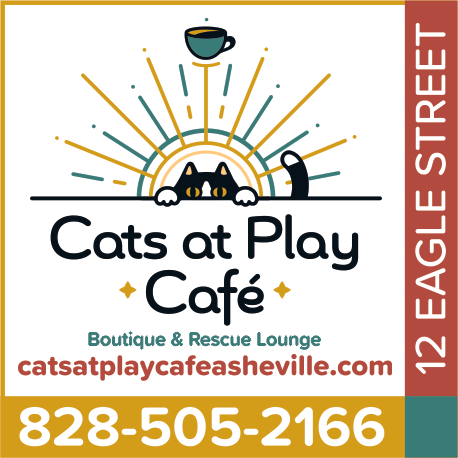 Cats at Play Cafe Print Ad