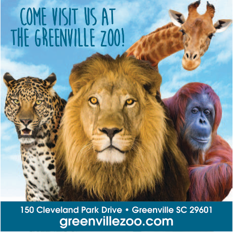Greenville Zoo Print Ad