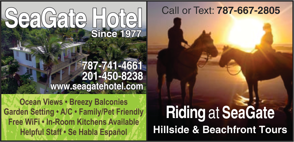 Seagate Hotel Print Ad