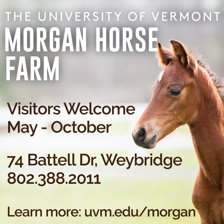 UVM Morgan Horse Farm Print Ad
