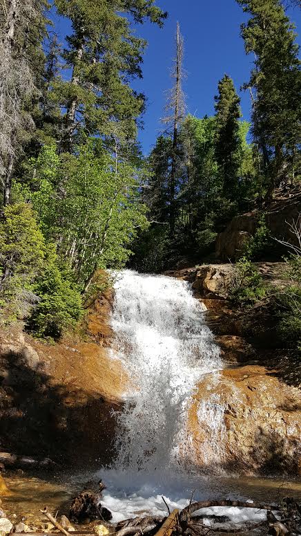 Durango Waterfall Vertical